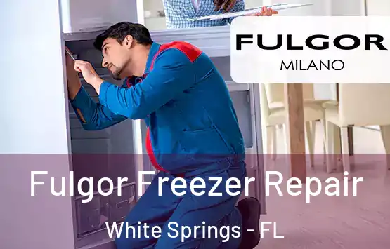  Fulgor Freezer Repair White Springs - FL
