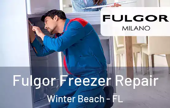  Fulgor Freezer Repair Winter Beach - FL