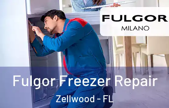  Fulgor Freezer Repair Zellwood - FL