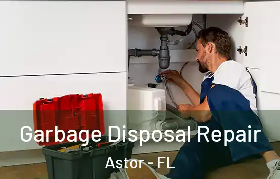  Garbage Disposal Repair Astor - FL