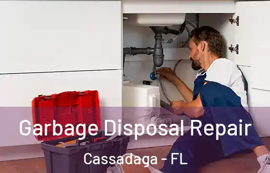  Garbage Disposal Repair Cassadaga - FL