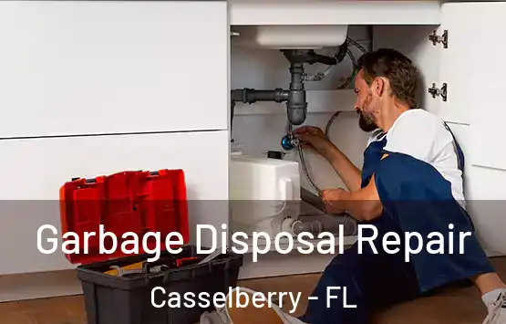  Garbage Disposal Repair Casselberry - FL