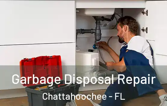 Garbage Disposal Repair Chattahoochee - FL
