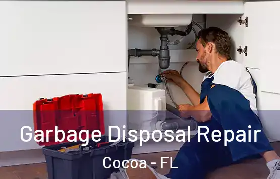  Garbage Disposal Repair Cocoa - FL