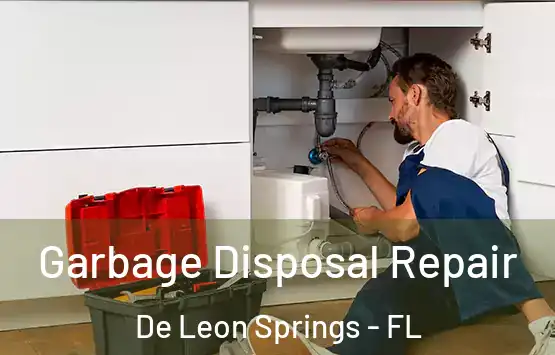  Garbage Disposal Repair De Leon Springs - FL