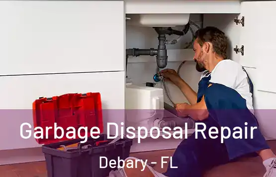  Garbage Disposal Repair Debary - FL