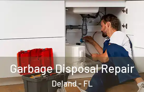  Garbage Disposal Repair Deland - FL
