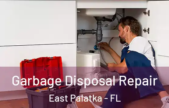  Garbage Disposal Repair East Palatka - FL