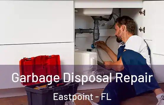  Garbage Disposal Repair Eastpoint - FL