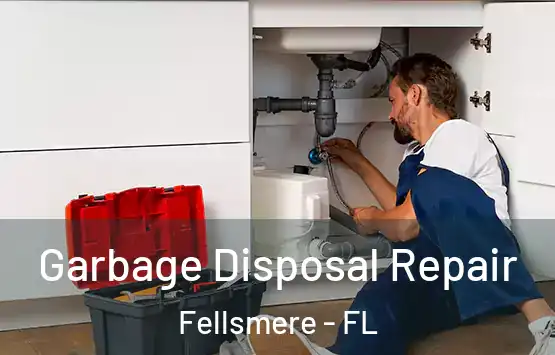  Garbage Disposal Repair Fellsmere - FL