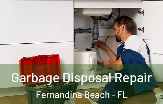  Garbage Disposal Repair Fernandina Beach - FL