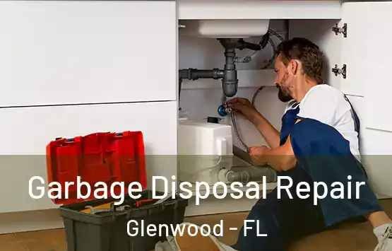  Garbage Disposal Repair Glenwood - FL