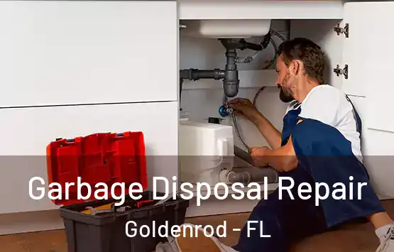  Garbage Disposal Repair Goldenrod - FL
