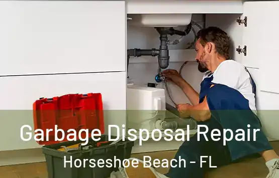  Garbage Disposal Repair Horseshoe Beach - FL