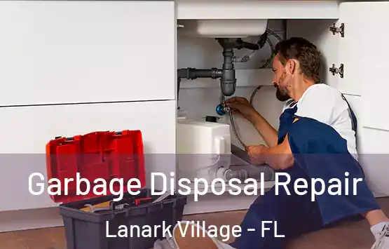  Garbage Disposal Repair Lanark Village - FL