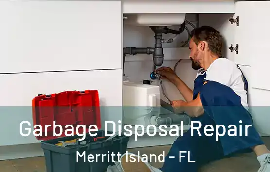  Garbage Disposal Repair Merritt Island - FL