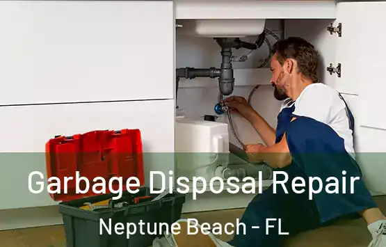  Garbage Disposal Repair Neptune Beach - FL