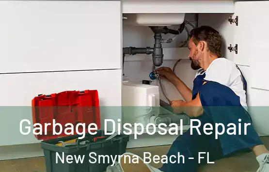  Garbage Disposal Repair New Smyrna Beach - FL