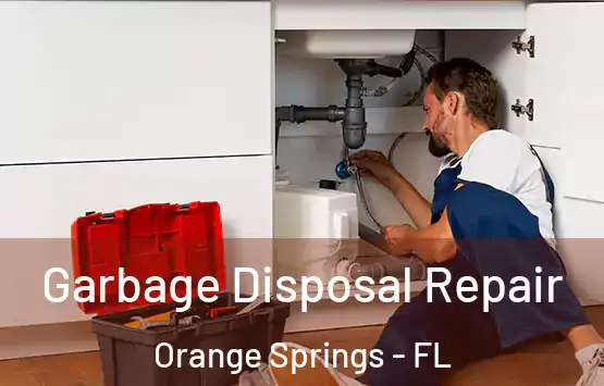  Garbage Disposal Repair Orange Springs - FL