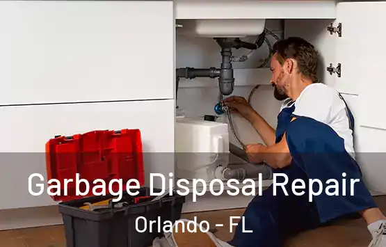  Garbage Disposal Repair Orlando - FL