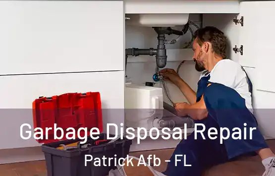  Garbage Disposal Repair Patrick Afb - FL