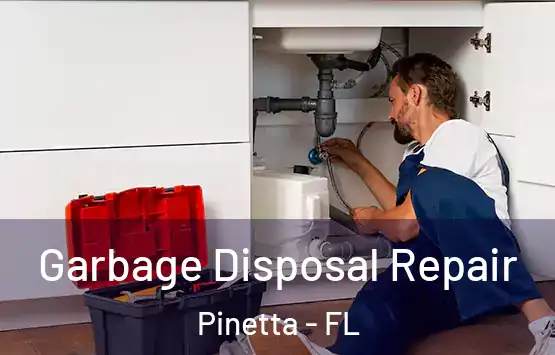  Garbage Disposal Repair Pinetta - FL