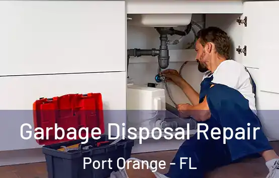 Garbage Disposal Repair Port Orange - FL