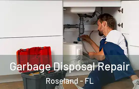  Garbage Disposal Repair Roseland - FL