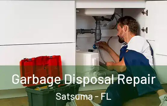  Garbage Disposal Repair Satsuma - FL