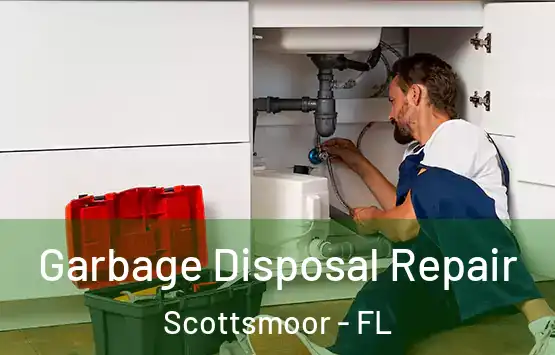  Garbage Disposal Repair Scottsmoor - FL