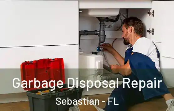  Garbage Disposal Repair Sebastian - FL