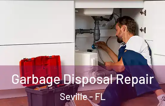  Garbage Disposal Repair Seville - FL