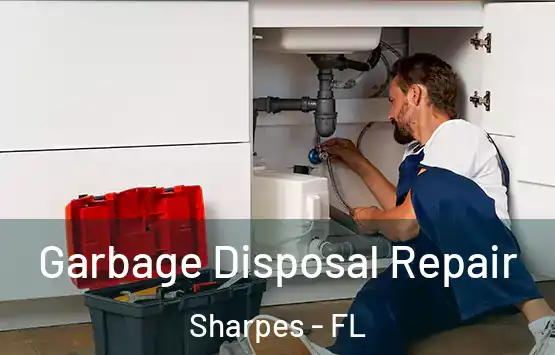  Garbage Disposal Repair Sharpes - FL