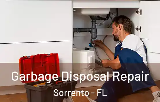  Garbage Disposal Repair Sorrento - FL