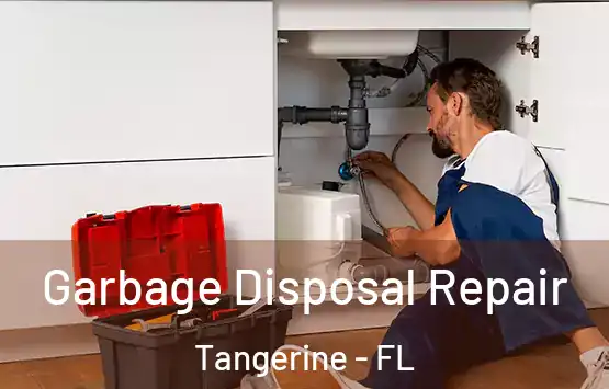  Garbage Disposal Repair Tangerine - FL