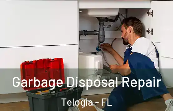  Garbage Disposal Repair Telogia - FL