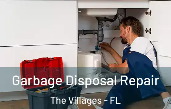  Garbage Disposal Repair The Villages - FL