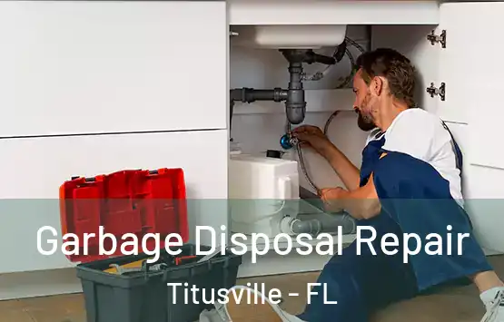  Garbage Disposal Repair Titusville - FL