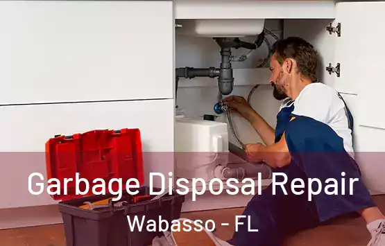  Garbage Disposal Repair Wabasso - FL