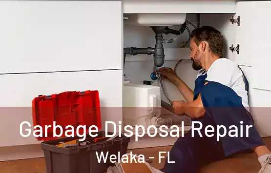  Garbage Disposal Repair Welaka - FL
