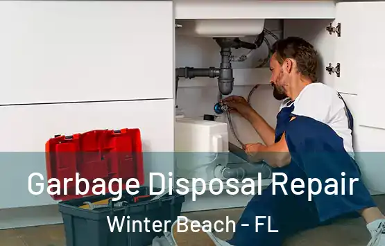  Garbage Disposal Repair Winter Beach - FL