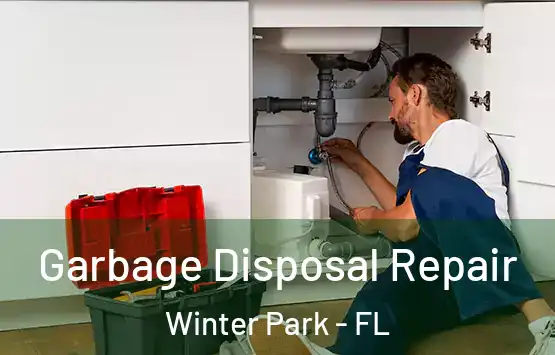  Garbage Disposal Repair Winter Park - FL