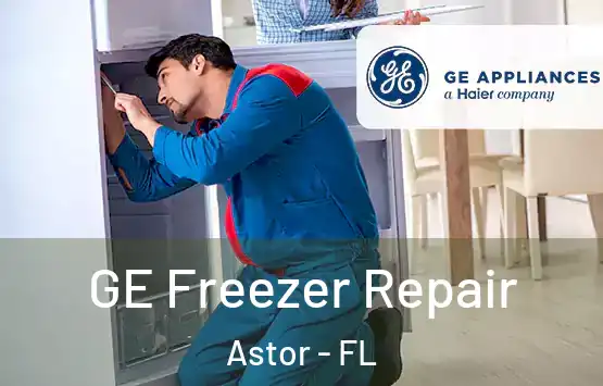  GE Freezer Repair Astor - FL