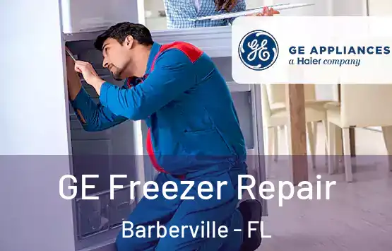  GE Freezer Repair Barberville - FL