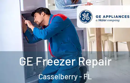  GE Freezer Repair Casselberry - FL