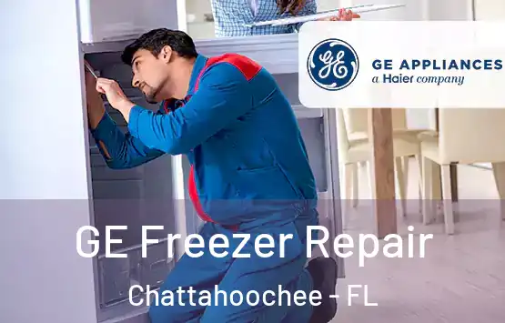  GE Freezer Repair Chattahoochee - FL