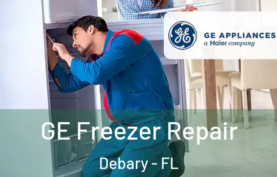  GE Freezer Repair Debary - FL