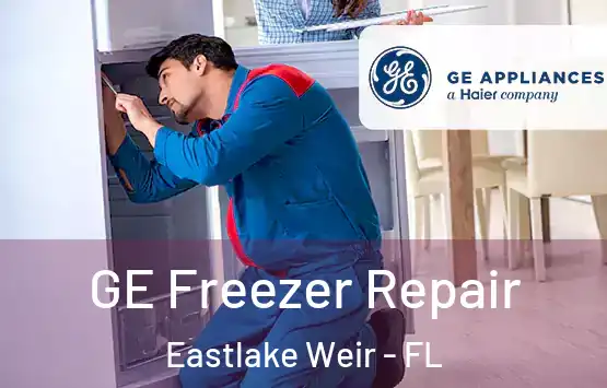  GE Freezer Repair Eastlake Weir - FL