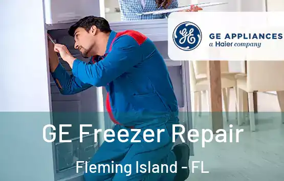  GE Freezer Repair Fleming Island - FL