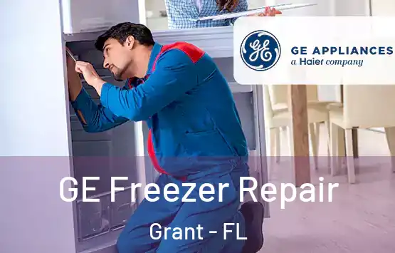  GE Freezer Repair Grant - FL